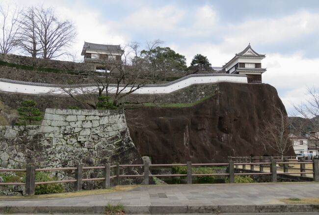 2018暮、九州南東の続百名城(18/20)：12月9日(6)：臼杵城(1)：マガモ、臼杵城跡碑