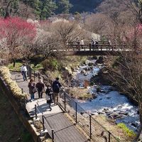 親子３人旅、伊東へ