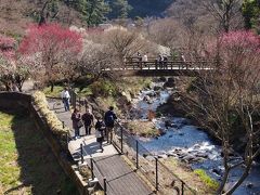 親子３人旅、伊東へ