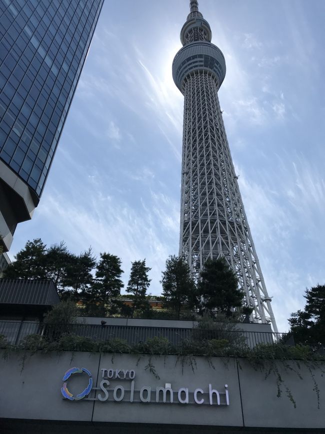 浅草 大人デート 交際