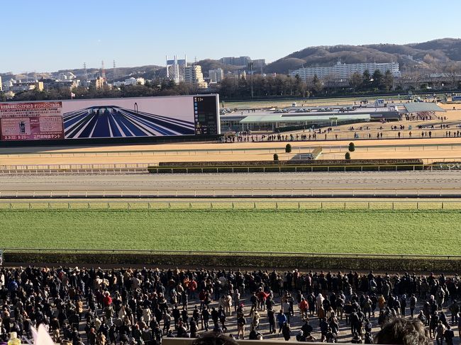 2019年最初の競馬観戦。<br />今回は競馬場に行く前に近くにある大國魂神社で参拝をし、御朱印を頂いてから行きました。<br />東京競馬場は、大人だけではなく子供も楽しめてグルメも充実しているのでおすすめです。