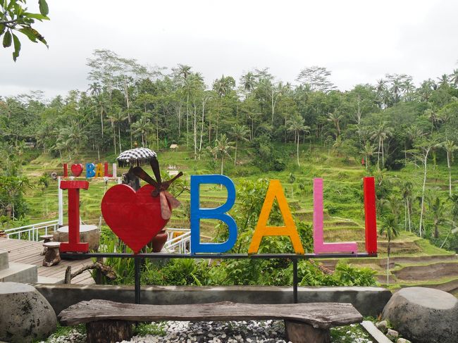 ４泊６日バリ島 一人旅 2019～２日目～カーチャーターでウブド観光