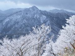 御在所岳の冬の華♪　強風の中きらめく樹氷を撮る♪