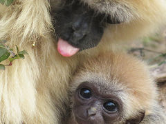 2017冬の18切符で動物園遠征３-ときわ動物園