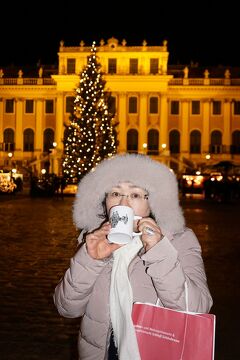 中欧４か国周遊のツアーをクリスマスマーケット巡りとして楽しむ。（7）パークホテルシューンブルンに泊まり、宮殿のクリスマスマーケットを楽しむ。