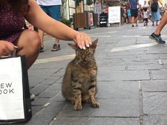 マルタ共和国(前) バカンスとぬこと巨石文明と、そして海外で初の医者…-自称独立国2国含む15日11カ国ヨーロッパ小国マラソン(6)