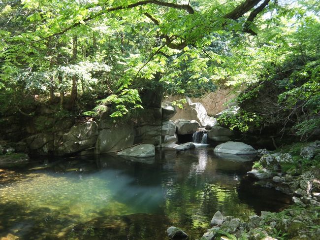 出雲観光から、三朝へ移動してきました。<br /><br />思いがけず花火が見れたりして、楽しい三朝観光でした。<br /><br />兄のこだわりの一つである動物園をどうしようかと計画時点で悩んだのですが、帰りのルート上の姫路に寄って行くことにしました。