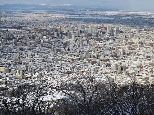 再び雪まみれの札幌に乗り込んできた。昨年は札幌駅から地下鉄移動できる範囲をあちこち回った。今年は、地下鉄で行きにくい場所を探すと、郊外が多い。藻岩山と大倉山を自分たちで回るのは面倒だとわかった。そこで、北海道中央バスのホームページを見ると、便利な一日コースが8500円だ。昼食、夕食つき。<br /><br />問題は5日滞在の内、天気の良い日を選択したいので、到着日に夕方、エスタビル2階の窓口に行き、土曜日26日を選択。正解！前日は吹雪だったのに、藻岩山の頂上では晴れだった。<br /><br />雪山の頂上に立つのは特別だ。昔、マッターホルンを正面に見るゴルナーグラート（３１００ｍくらい）の頂上に真冬に登山電車で上がった時も素晴らしい天気と四方がアルプスの凄い眺めだったが、今回はそれに次ぐ、いい天気と札幌の街並みの眺めだった。（ユングフラウ（３５００ｍ）の真冬の頂上は悲惨だった！零下数十度の猛吹雪だった。勿論、あれもすごい体験だったが。。）こういう冬の雪山や氷河は、夏に行く気がしない。やはり、冬景色のほうが、憧れの対象だ。そういう意味で、今回のたっぷり雪の降ったばかりの藻岩山は素晴らしかった。<br /><br />カメラはCanon Powershot 710。ズームを使用しながらの撮影。光が強いので、写真は少し調整した。<br /><br />一枚目は、札幌の町とはるか向こうに芦別岳か夕張岳まで見える！冬の景色は乾燥度が高く、これらの山は９０ｋｍくらい先にあるが、この日はかなりはっきり見えていた！この山をズームで撮影しなかったことを後悔している。<br /><br />　　<br /><br />