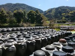 きりしま悠久の宿一心【春爛漫九州旅vol.1/黒酢レストラン桷志田/鹿児島神宮/霧島温泉郷】