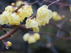 関西散歩記～2019 京都・京都市右京区編～