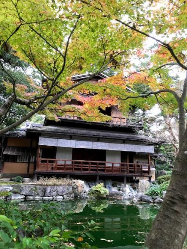 今回はこの秋に行きました<br />是非、行ってほしい<br />素晴らしい場所が京都御苑内にありました！！！<br /><br />えーーっ知ってるって？？<br />dmnkは初めて行って感動しましたよ。<br />