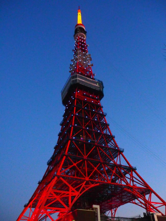 今日のライトアップはサムライブルーになる、ということなので東京タワー周辺にリハビリがてら歩きに行くことにしました。<br />ダイヤモンドヴェール 【青・白】<br />東京タワー SAMURAI BLUE ライトアップ<br />どんなかな？<br /><br />そして日本橋でやっている<br />flowers by nakedに行ってきました。平日は大人１６００円です。<br />コピーは「日本一早いお花見」<br /><br />金魚と同じ会場だったので４０％ぐらいの期待値で訪問。ならばなく入れたのが良かったけど、内容はイマイチかな。値段の割には・・・という印象でした。<br />