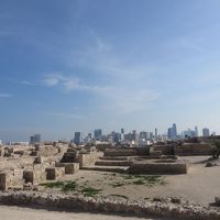 エミレーツで行くアジアカップ2019【プロローグ２】深夜のドバイ乗換でバーレンへ。意外と、寒いのね・・・