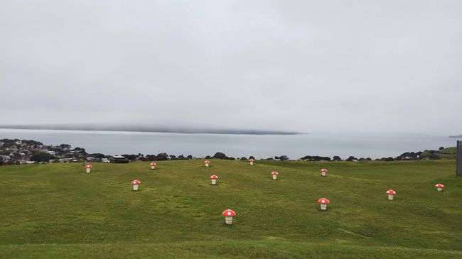 海外一人旅第17段はニュージーランドの大自然に癒される旅 - 3日目（オークランド郊外編）