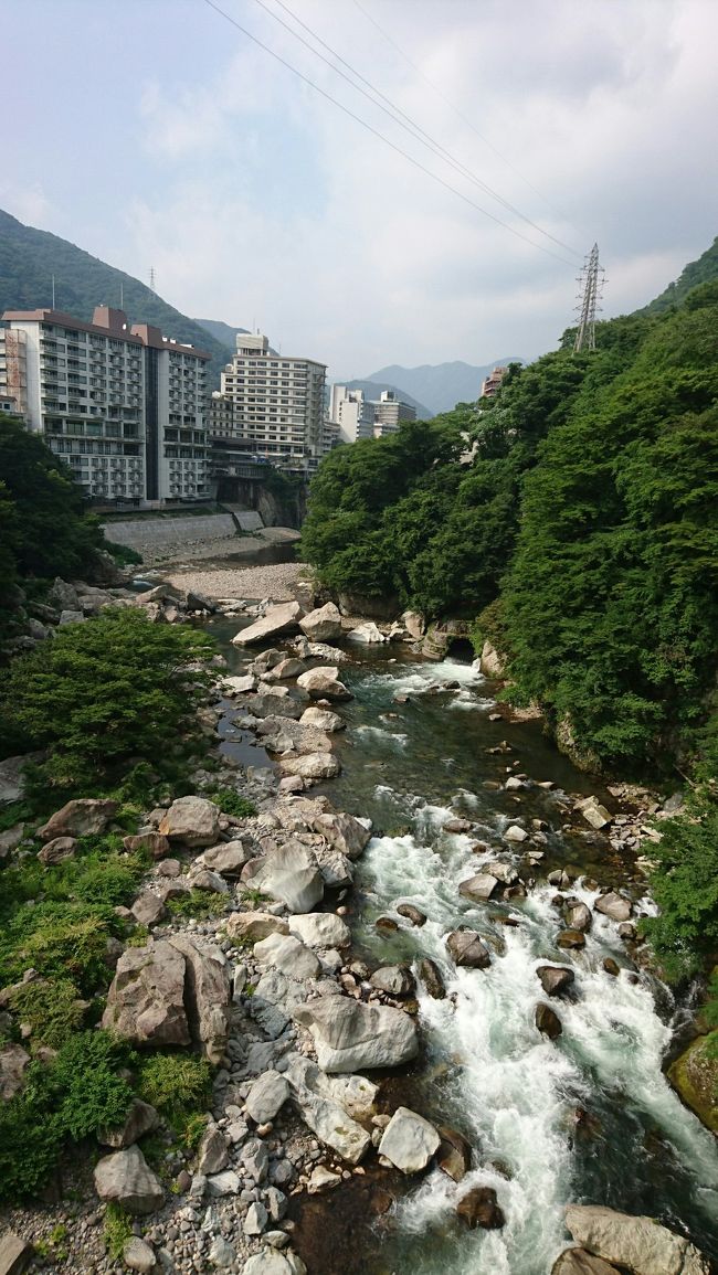 ７月中旬に鬼怒川温泉へ行きました。<br /><br />７月の猛暑の中、鬼怒川温泉へ（笑）<br />目的地は鬼怒川で有名な旅館の１つである「あさやホテル」<br /><br />今回で３回目ですが、毎回行ってよかったと思える旅館で<br />何度行っても飽きることはありません。<br /><br />お風呂、館内施設、部屋、食事すべて大満足でした。<br />また、行こうと思います。