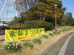 葛西臨海公園・水仙まつりに行ってきました