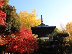 足利で紅葉を愛でる旅