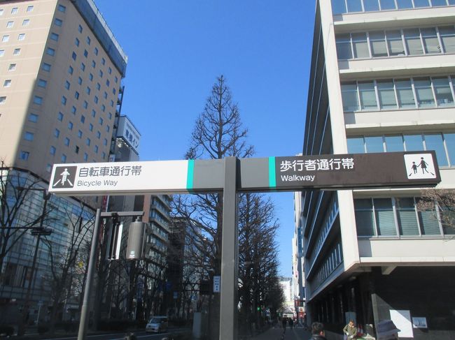 偶然、川崎駅で「駅からハイキング」のポスターを見たので、早速翌日に行くことにしました。「駅からハイク」は、1年以上前に1回だけ参加したことがあります。空気が澄み、晴れ渡った冬空のもと、気持ちよく川崎の町を歩いてきました。