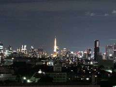 2019正月 東京・横浜