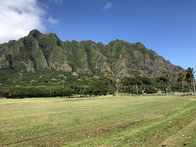 私のハワイ旅行はハネムーンから数えて6度目ですが、近年はもっぱら友人とのハワイ旅行でした。今回は主人が退職したので、今は家でのんびりしています。仕事がサービス業だったこともあり、海外旅行は行けなかったので、ハワイ慣れした私がよかったと思うところへ案内しようとハワイ旅行を選びました。<br />昨年の8月にエクスペディア経由でエアアジアのハワイ便を予約しました。7月にLCCのスクートで友人とハワイに行きLCCでも全然大丈夫だったので、今回もです。ホテルはハワイも正月価格なので最初の2泊はお手頃価格のワイキキサンドヴィラをエクスペディアで予約し、残り3泊はHISでたまたま検索した時に税金やリゾートフィー込みで88000円ていうのを見つけて即予約、もちろん部屋指定なしです。<br />今回の旅行の移動手段はほとんど市バスと徒歩でしたが、天気にも恵まれ思い出に残る良い旅となりました。