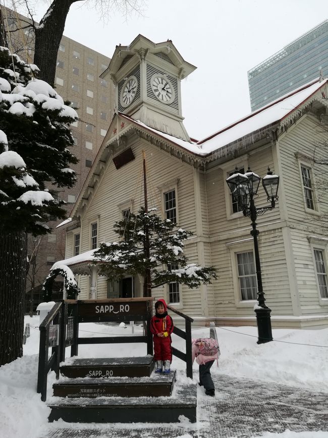 子供が、雪を触ってみたいというので、北海道行ってみようか～！って予約しました。<br />オリオンツアーで、ガトーキングダムに。<br />子供が暇になったら、プールで遊んでいればいいかなぁって。<br /><br />大人一人、子供二人の旅行です。あまり無理できません！<br />ゆっくりで、好きなものを食べて、お菓子食べて、遊ぼうと。<br /><br />実際、札幌の街中を歩いても、８才５歳は喜びません・・・<br />買い物も楽しくなさそうｗ<br /><br />ガトーキングダムの中の雪遊び。バイキング。プールを楽しみました。<br />札幌の街中も歩きました。<br /><br />雪まつりを作っている最中を見学しました。<br />テレビ塔にも上りました。<br /><br />また行きたい！北海道大好きだそうです！！