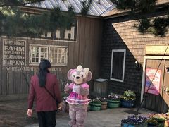 2019 ディズニーシー ２月