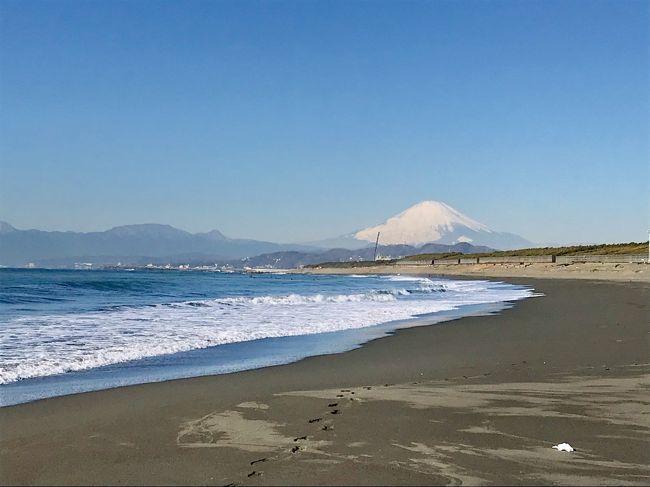 茅ヶ崎のシンボルえぼし岩の周辺の海で育ったわかめを販売する「生わかめまつり」が今年は2月2日に開催されました。<br />早春の短い期間だけ収穫される茅ヶ崎産の「えぼしわかめ」は柔らかく美味しいと評判で 採れたてにこだわり約2か月間だけ販売されます。毎年 茅ヶ崎漁港で開催される「生わかめまつり」にはこの「えぼしわかめ」を求める人が多く集まり30分ほどで売り切れてしまいます。