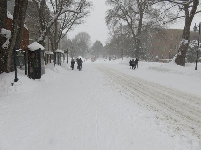 雪の積もった札幌に来たら、当然、北海道大学のキャンパスは歩きたくなるところだ。せめてポプラ並木まで歩くのは当然だが、一休みするところもある。食堂や喫茶室があちこちあるし、クラーク会館や生協に立ち寄るのもいい。総合博物館は、今回はさっと通過しただけだった。中央食堂の入口左にあるパン屋さんは我々のお気に入りだ。安いうえに美味しい！<br /><br />こういう教職員学生の厚生施設がいいかどうかは、大学の健全な機能が果たされているかどうかを反映しているので、チェック・ポイントの一つになる。<br /><br />一枚目は北海道大学の中央の南北の大きい通路。前半は1月25日、後半は1月28日に撮影。2度、キャンパスを散歩した。私の好きな場所のひとつだ。　  　    