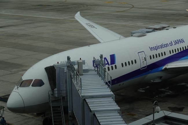 あっと言う間の10日間。<br />でも、ゆっくり、のんびりは出来たかな。<br /><br />旅最終日は、ダナンからハノイ経由で羽田空港へ。<br /><br />ビンフンリゾートホテルの人に、ダナンからハノイ飛行機変更して頂いたお陰で、無事乗り継ぎする事ができ帰国できた。<br />羽田からのバス乗り継ぎが時間あり、自宅に到着したのは日が変わる直前だったがトラブルもなく無事旅は終了。