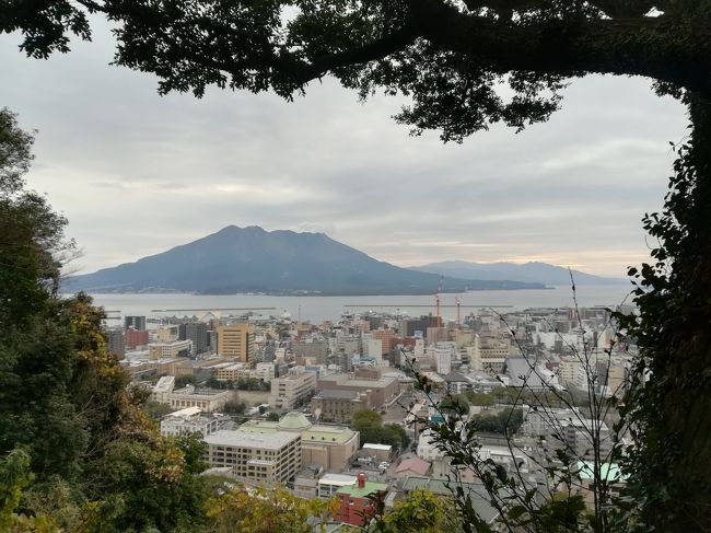 NHK日曜夜8時大河ドラマ・・・・・まるまる一年間見続けたのは何年ぶりだろう?<br />「天と地と」(古っ!)以来?<br />視聴率は振るわなかったらしいが、そして私の周りでもその内容には賛否両論あったけれど、少なくとも私は毎週毎週、日曜日が来るのを楽しみにしながら見続けた「西郷どん」<br />西郷どんゆかりの地を紹介するTV番組を見て・・・・・「そうだ!行ってみよう~」ということで、その土地・土地を廻る旅の計画をたててみました。<br />西郷どんロスの冷めやらぬ1月中旬~西郷隆盛に会いに行ってまいりました。<br /><br />【NOTE】<br /><br />2019/1/7(月)<br />羽田発 JAL649便 13:30 → 鹿児島着 15:30<br />空港バスで市内へ<br />城山ホテル 泊:12,030円(じゃらん 17:00チェックインでお得<朝食付き>)<br /><br />2019/1/8(火)<br />鹿児島市内 西郷どんツアー<br />桜島<br />グリーンリッチ天文館 泊:4,100円(じゃらん シンプル素泊りプラン)<br /><br />2019/1/9(水)<br />川内高城温泉移動<br />梅屋 泊:2,600円(ダイレクト予約 素泊まり)<br /><br />2019/1/10(木)<br />日当温泉移動<br />日当温泉センター 泊:3,600円(ダイレクト予約 素泊まり)<br /><br />2019/1/11(金)<br />高速バスで博多に移動 友人とジョインして博多での目的地<br />新三浦にて水炊き<br />博多グリーンホテル1号館 泊:9,600円/2人(一休 スタンダードツイン 素泊まり)<br /><br />2019/1/12(土)<br />ショッピング<br />鹿児島発 JAL320便 16:00 → 羽田着 17:35<br /><br />チケット:<br />羽田⇔鹿児島、JALマイレージ 12,000マイル<br /><br />*********************************<br /><br />どちらかというと、国内より海外旅行の方が得意なんだけど、年齢のせいかな?あと環境の変化かな?<br />旅番組でも海外よりも国内旅行の方に興味が湧き始めた今日この頃。国内旅行は割高感があってあんまり行ってないのよ。<br />でも泊まろうと思ったらこんな感じで安く泊まれる。そしてなんといっても、宿泊する場合、国内は1人いくら~海外だと1部屋いくら~て感じで、一人旅好きにはホテルにおいては海外はコスパがいまいちなのよね。<br />もう人生も終盤!行ったことのない国内のあちこち、これから行ってみたいな~もちろんお得意の海外も行くけれど・・・・・
