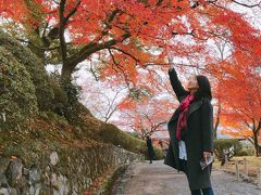 暖かい日が続いたお陰で12月なのに紅葉バッチリの旅