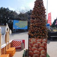 神話の島～淡路島で玉ねぎ三昧☆