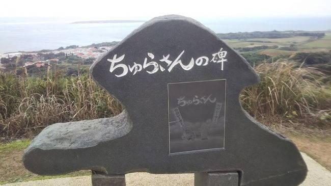 （1/2）の続きです。<br /><br />石垣島に一人旅してきました。<br />今回は竹富島と小浜島に行きました。<br /><br />1/24　関西空港　ファーストキャビンにて前泊<br />1/25　関西空港から出発（ピーチ航空）<br />　　　竹富島　レンタサイクルで爆走　小浜荘　泊<br />1/26　小浜島　バス観光<br />　　　　石垣島　先島ビジネスホテル　泊<br />1/27　関西空港へ帰着（ピーチ航空）