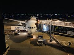 アシアナ航空で成田へ帰国