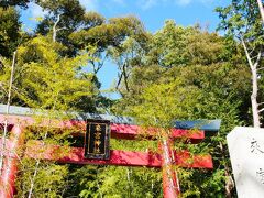 熱海で桜と梅の花見♪