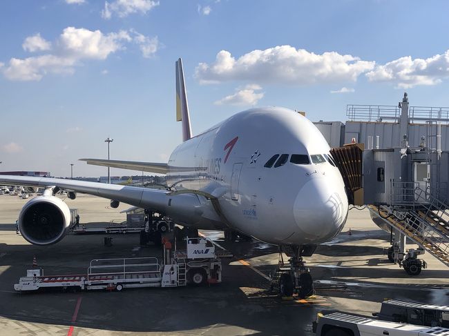 シンガポール出張です。いつもはANA直行便ですがアシアナ航空ビジネスクラスにてお得なキャンペーンがあり利用しました。成田??仁川はA380のはずが…出発3週間前に復路OZ102便がA380からB772へ機材変更。ソロシートなのでとりあえず安心と思いきや、出発前日さらなる機材変更でA330となり残念なフライトになりましたが、サービスや機内食も特に問題なく満足でした。<br />往路:1/27 <br />OZ101 成田→仁川 <br />OZ753 仁川→シンガポール<br />復路:1/31 <br />OZ752 シンガポール→仁川 (2時間ディレイにて乗換時間わずか30分)<br />OZ102 (翌2/1) 仁川→成田<br />