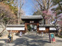 「足利学校」と「鑁阿寺」のウメ_2019_咲き始めています。（栃木県・足利市）