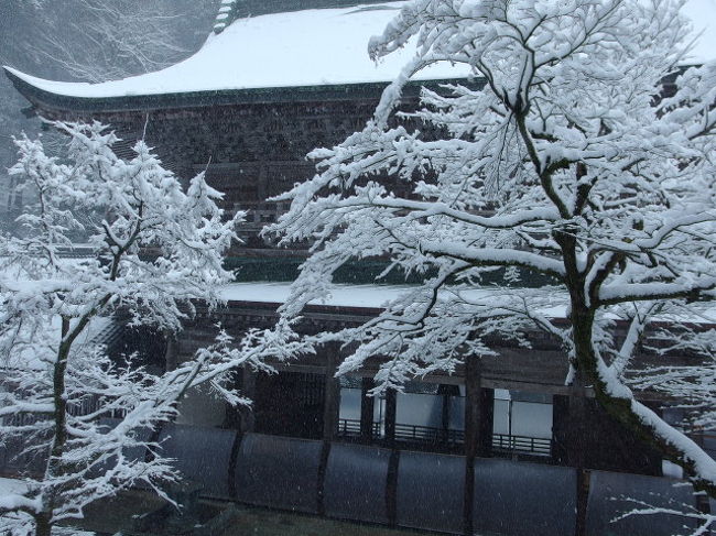 札幌　函館と2年連続で正月料理の材料買い出しを兼ねた年末旅行。今年は仕事が忙しく企画する気力もなく見送ろうかとも思ましたが肉体的にもメンタルにも癒しを求めていることもあり、奥さんがカニが食べたーいと言うので、旨い日本酒、温泉を満たすところ、和倉温泉は以前いたことがあるので加賀温泉郷をチョイス。1か月を切っていたので予約の取れる宿から山代温泉にしました。