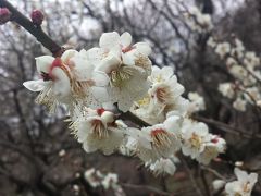 おばちゃん達のバス旅行(201902駒ヶ岳山頂で天体観測)