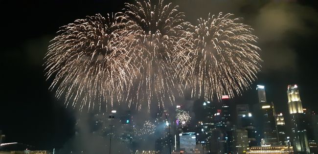 今年の春節はシンガポールでお祝い(*´▽｀*)<br />前半はマンダリンオリエンタル（３泊）<br />後半はセントーサのエクアリウスに泊まります（４泊）<br /><br />