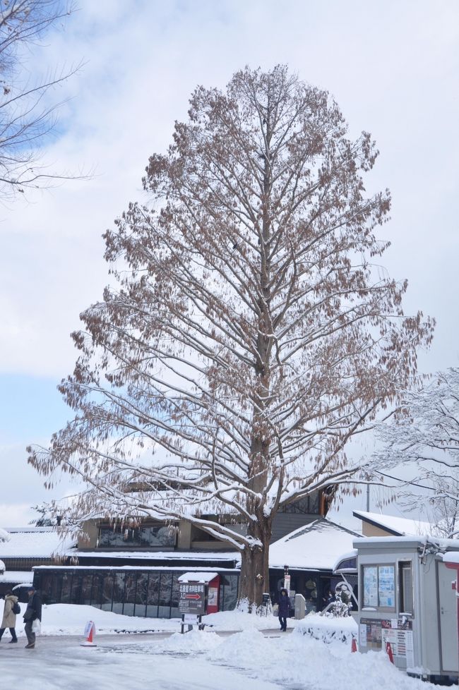 ２日目は、ホテルをゆっくり９：００出発<br /><br />雪景色の小布施を散策してから「おぎのや」で昼食。<br /><br />山梨と言ったら定番の宝石店に立ち寄り<br /><br />ノーベル賞を受賞した「大村智記念学術館」を見学<br /><br />最後はシャトー勝沼でワインの試飲とショッピングで終了です。