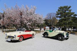 古都で楽しむクラシックカーと京都さくらよさこい