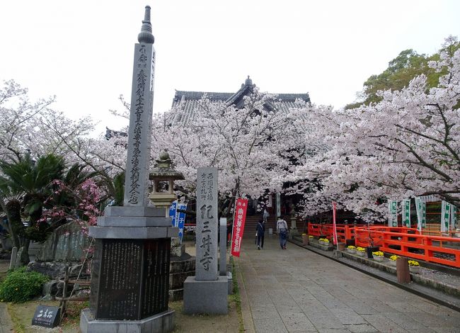 　和歌山の春，紀三井寺や桃源郷など，桜や桃をめでながら，紀北のスポットを散策した。