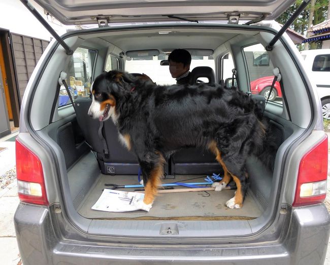 大型犬との旅の仕方　その１