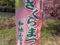 こんな所にも 春を感じる・・東大山の河津桜  ＠はままつ 西区（お花 ２０の１３）TWICE １７本