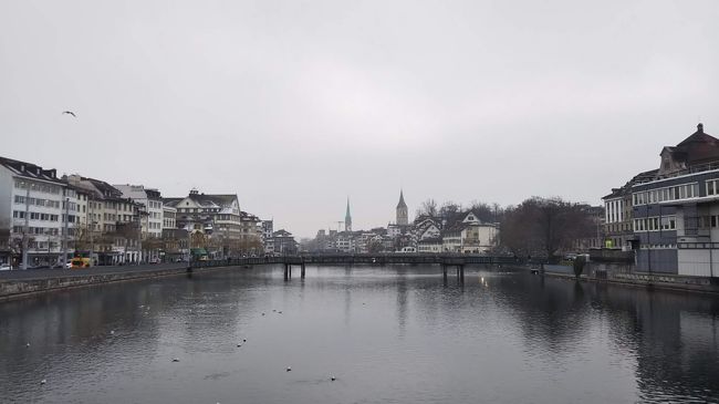 去年のGWにプライベートで訪れたチューリッヒ。<br />滞在中に色んな街を訪問してスイスが大好きになりました。<br /><br />今回、会議に参加のため、9カ月ぶりにチューリッヒへ行くことになりました。<br /><br />2月4日（月）チューリッヒへ向けて移動<br />2月5日（火）～6日（水）お仕事<br />2月7日（木）日本へ向けて移動⇒2月8日（金）帰国<br /><br />まさかこんなに直ぐに戻ってくるとは。。。<br />2月のチューリッヒは終日どんよりとしたお天気でした。<br />