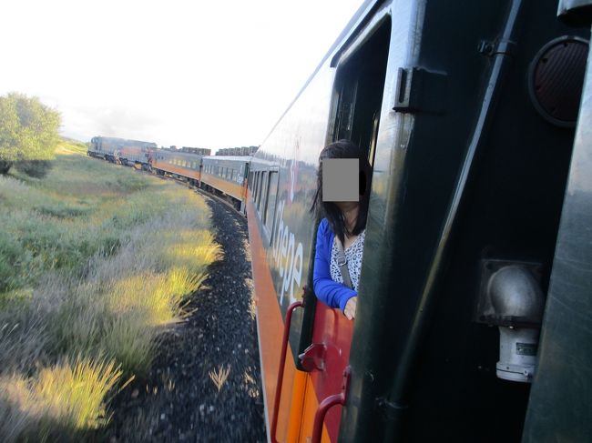 メキシコの鉄道は貨物輸送が中心で、長大な貨物列車が荒野をのろのろと走っています。<br />ところが、メキシコ北部にコルテス海沿岸のロス・モチスからチワワまで、標高差2,400ｍを駆け上がるチワワ太平洋鉄道があり、週３便ではあるものの通年運行しています。（コルテス海側の起点ロス・モチスからクリールまでは観光色の強い特急列車がこちらも週3便運行しています。）<br /><br />さあ、乗るしかありませんよ！<br />ということで、昨年、中国～モンゴルを鉄道移動した旅仲間tanupamさんと行ってきました。（2018年9月の話です。）<br /><br />旅程の関係から、チワワから海へ降りるルートで全線乗車することにして、途中のディビサデロで１泊、翌日、終点のロス・モチスまで乗車する計画でしたが、先の旅行記で書いたとおり、ロス・モチス～サン・ラファエルまでの区間が、豪雨による線路冠水などのため不通になってしまいました。<br />チワワ太平洋鉄道の一番の乗りどころ、弧を描く線路、橋やトンネルが続く部分が不通だなんて・・・。ナンノタメニキタンダロウ？<br /><br />まあ、鉄道の雰囲気は味わえるし、ディビサデロで銅峡谷（Barranca del Cobre）の雄大な景色も眺められるようなので、気を取り直して乗ってきます。