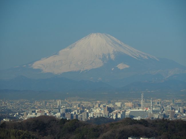 快晴の週末、鎌倉アルプス(天園ハインキングコース)を歩いてきました。鎌倉北部の外周を歩くコースで、鎌倉という観光地にありながらも、自然とふれあいながら富士山や相模湾の絶景が楽しめます。当日は北鎌倉駅から建長寺、半僧坊から鎌倉市最高峰になる標高159.2mの太平山を経て、瑞泉寺のたもとまで約2時間のハイキング。そしてここまで来たので、瑞泉寺、鎌倉宮、報国寺を拝観。今までほとんど来たことがなかった鎌倉ですが、実際見てみるとその風情や景観の美しさに感嘆。その人気に納得しました。<br />