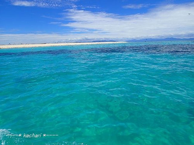 美しいグレートバリアリーフに感動 オーストラリア旅 グレートバリアリーフ周辺 オーストラリア の旅行記 ブログ By Kachariさん フォートラベル