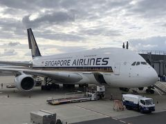 2019 オリエンタルホテルへ　でもチョー弾丸で(^_^;)　Ⅰ　ＳＱ３８０ビジに乗りたくて